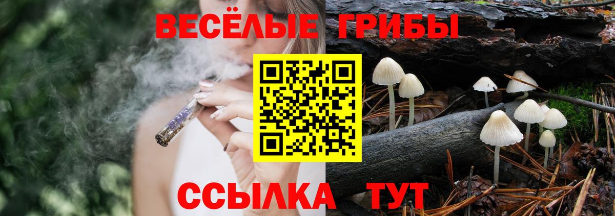 Саянск  Псилоцибиновые грибы мицелий  Вход с VPN 